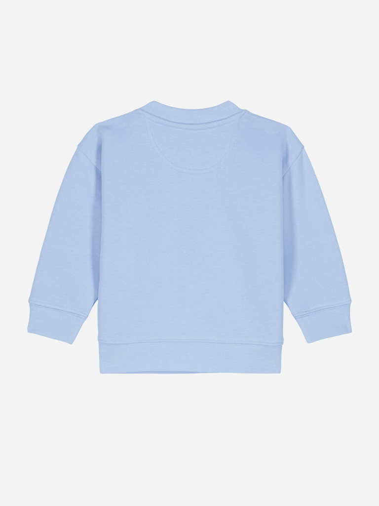 Bio-Baby & Kleinkind Sweater 'Ziege' Farbe: Hellblau Rücksansichtansicht